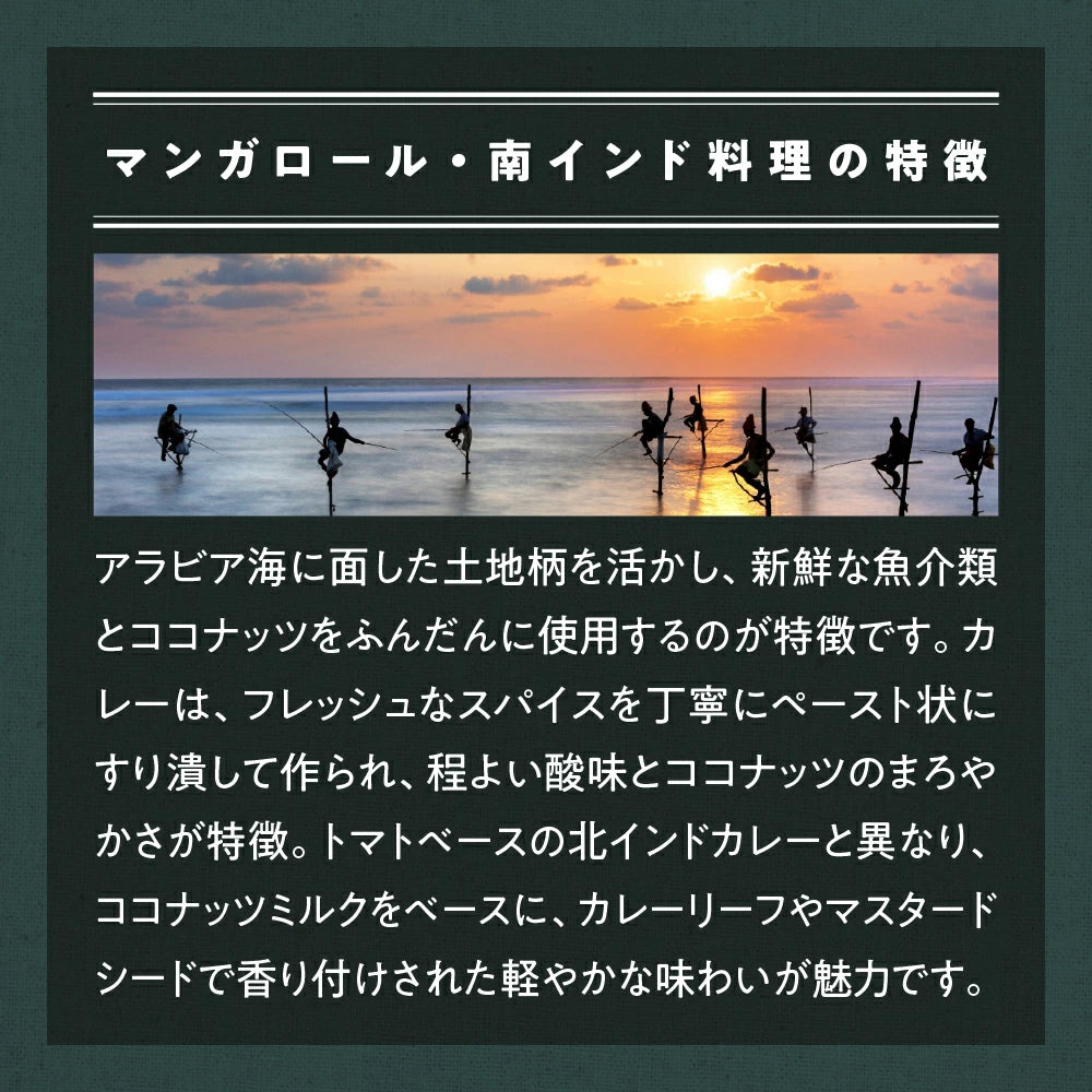 無添加チャパティ2枚～10枚セット