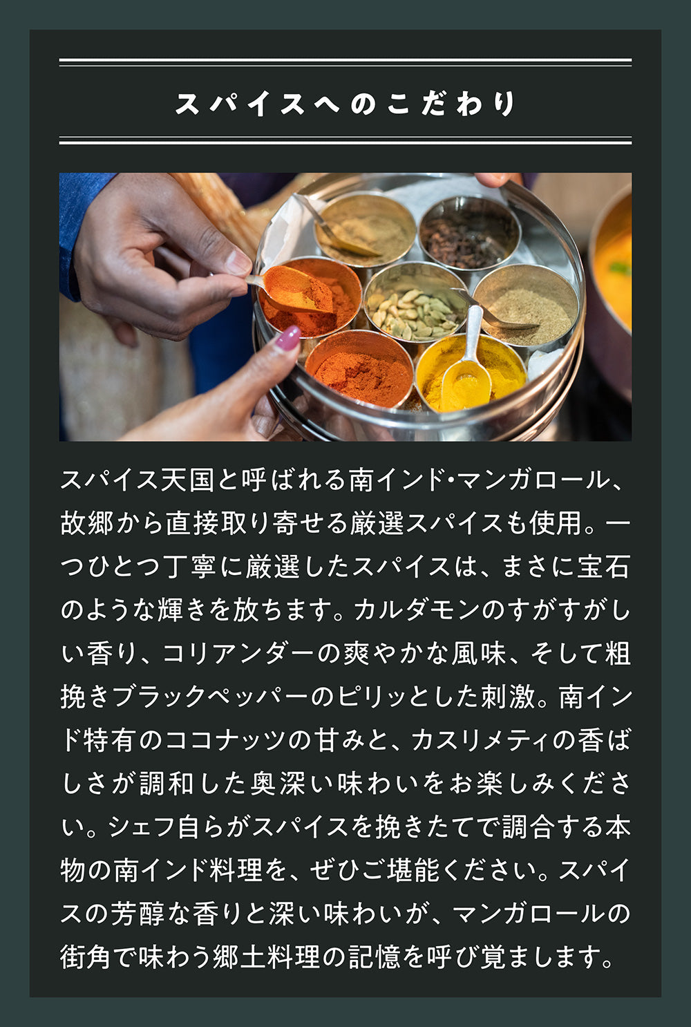 初回限定お試しセット：マイルド /Spice & Curry Sampler Set Mild